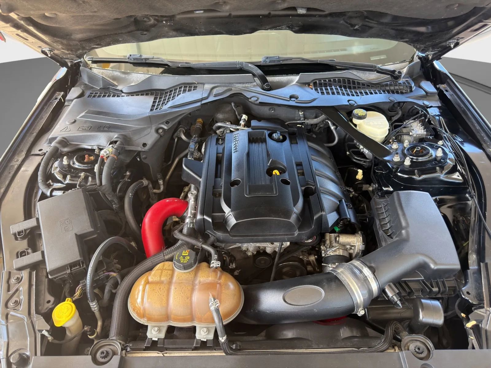 Used 2015 Ford Mustang Premium w/ Ecoboost Performance Package RWD image 21
