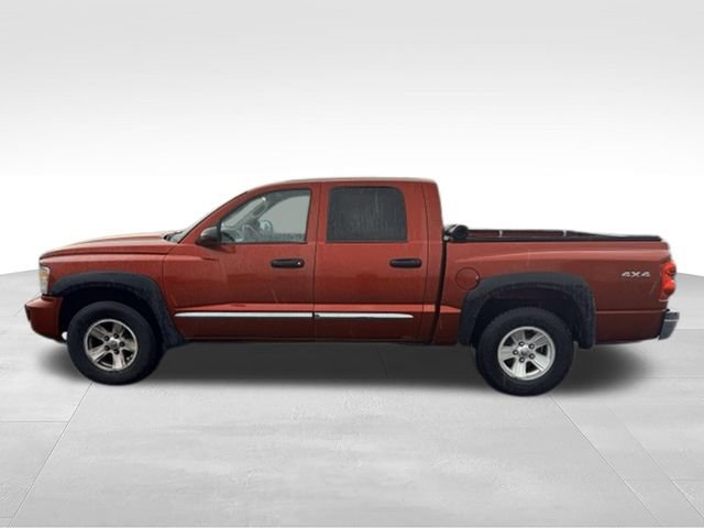 Used 2008 Dodge Dakota Laramie AWD/4WD image 9
