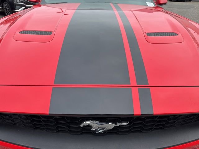 Used 2022 Ford Mustang Premium w/ Equipment Group 201A image 5