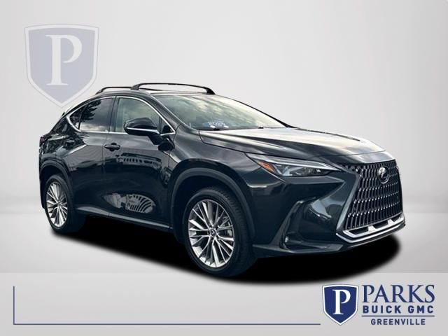 Used 2025 Lexus NX 350 AWD w/ Cold Area Package video 1