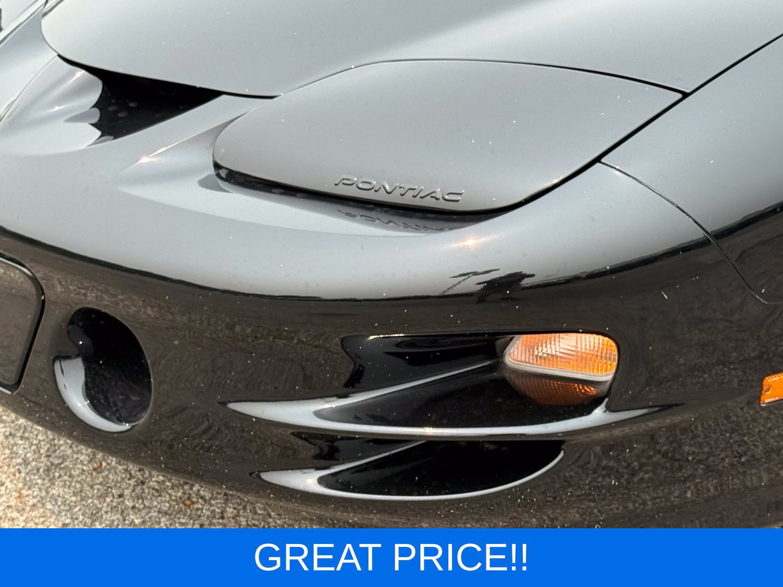 Used 2002 Pontiac Firebird Trans Am RWD image 14