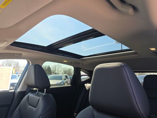 New 2026 Nissan Murano SL image 4