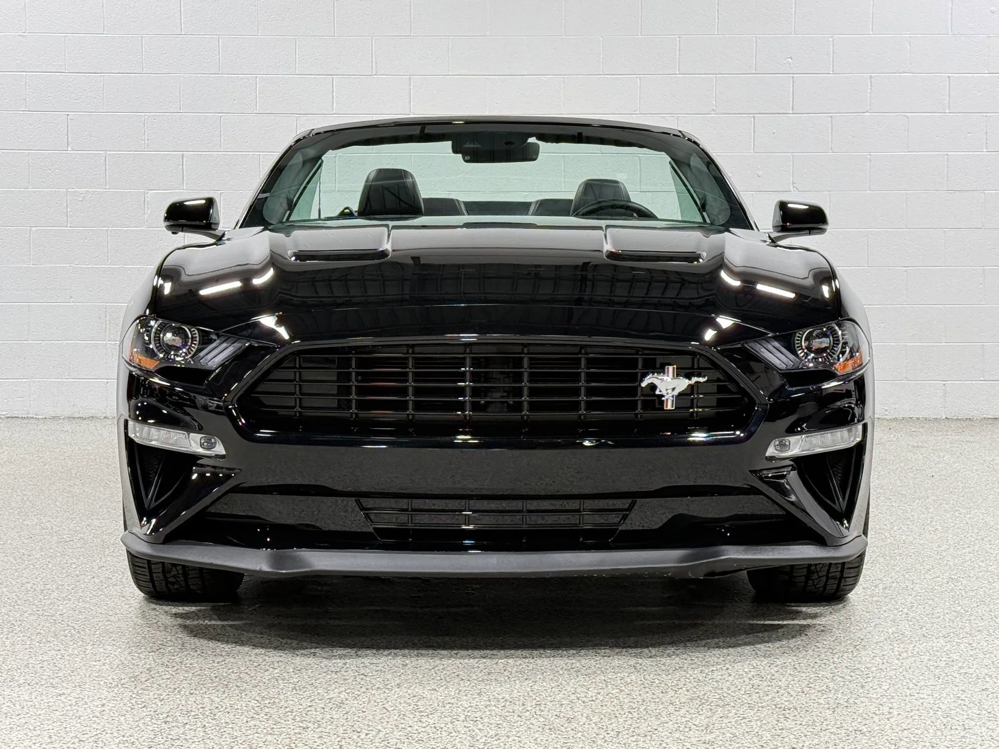 Used 2019 Ford Mustang GT Premium w/ Equipment Group 401A RWD image 3