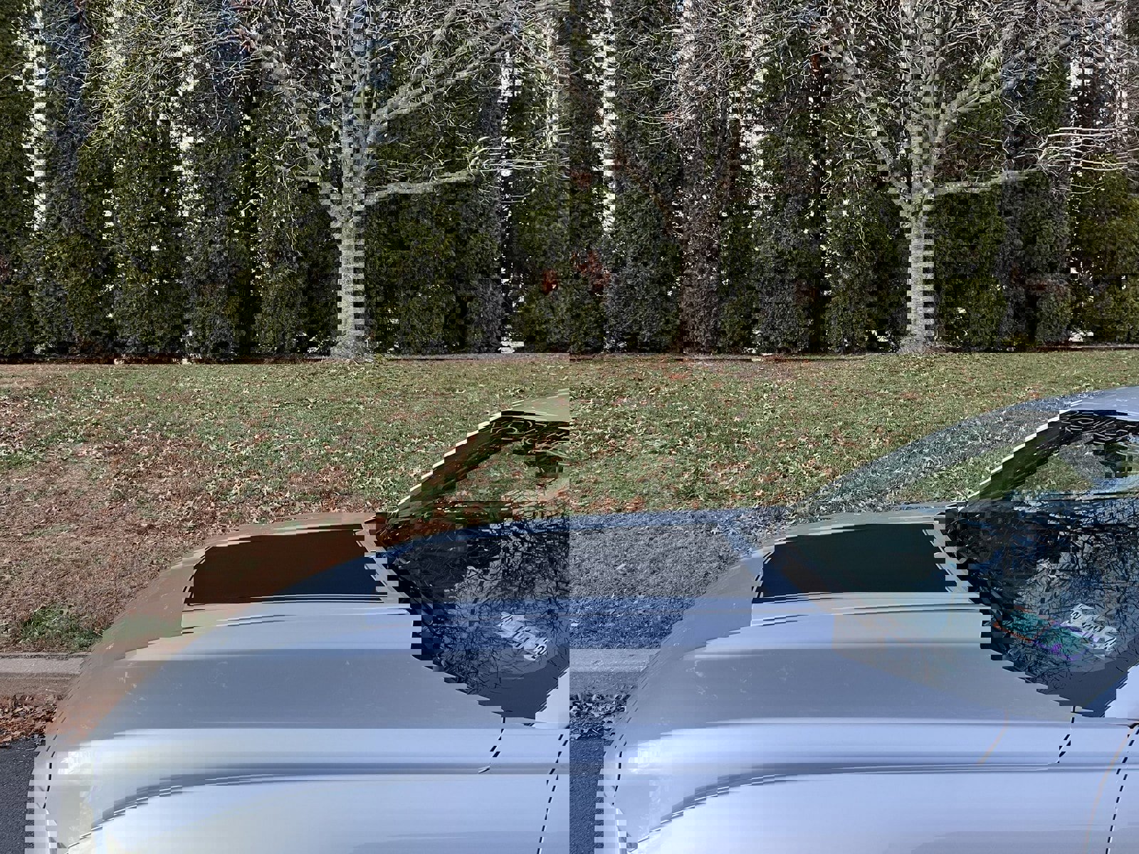 Used 2015 Ford Mustang Coupe w/ Equipment Group 051A image 76