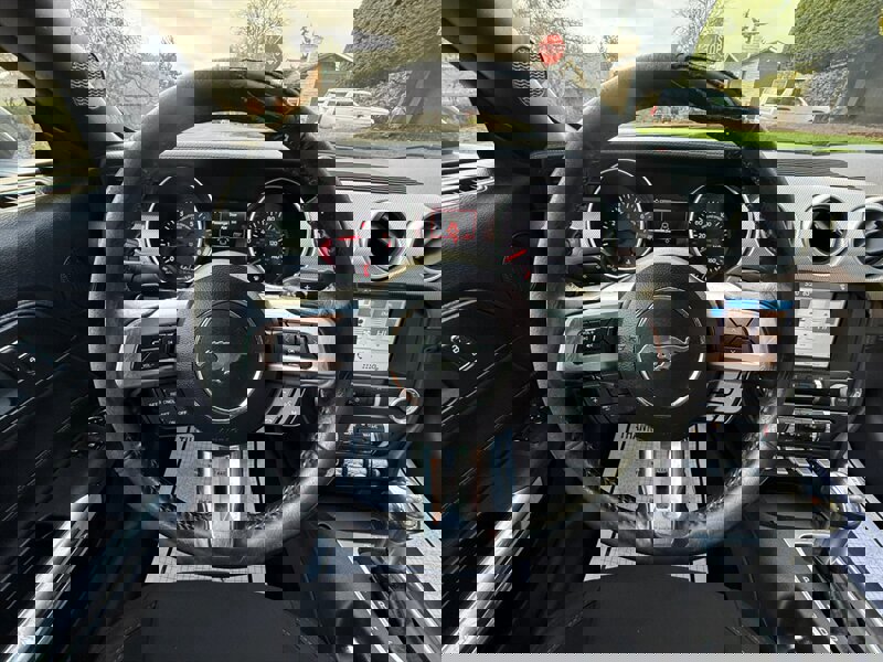 Used 2019 Ford Mustang GT w/ Equipment Group 301A image 14