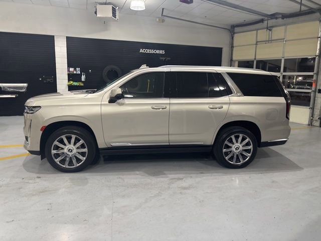 Used 2024 Cadillac Escalade Premium Luxury Platinum image 5