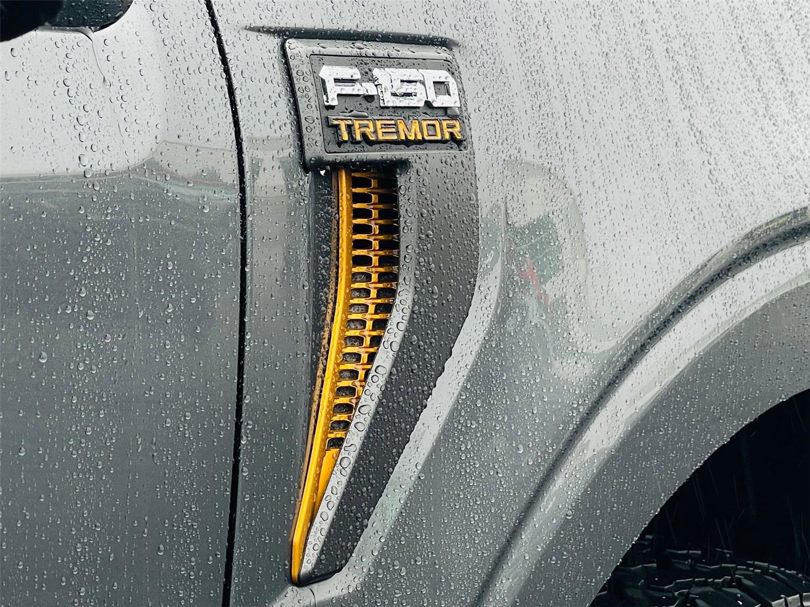 Used 2025 Ford F150 Tremor w/ Tow/Haul Package image 20