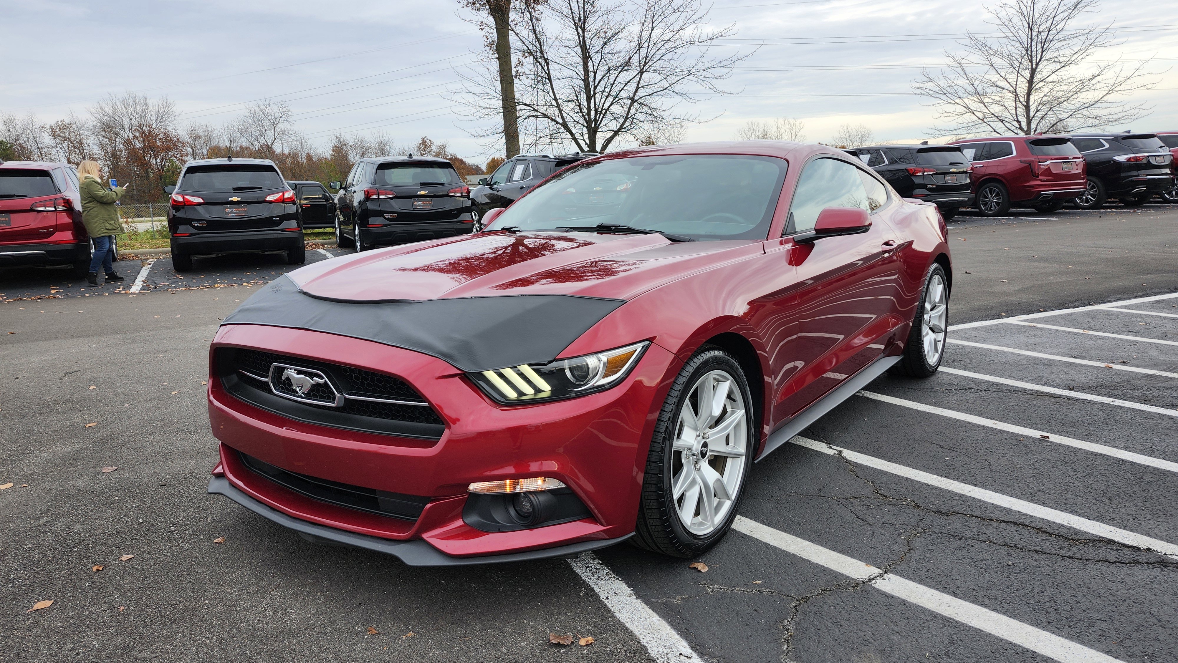 Used 2015 Ford Mustang Premium w/ Equipment Group 201A image 15