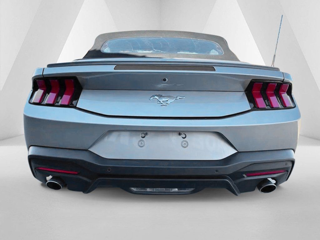 Used 2024 Ford Mustang Premium image 6