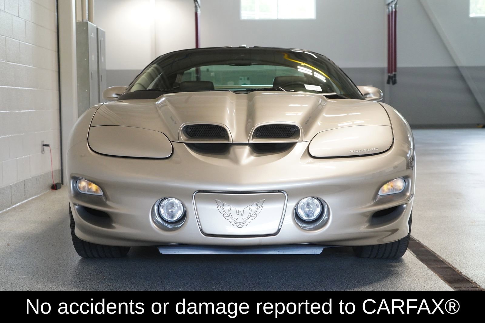 Used 2001 Pontiac Firebird Trans Am w/ SLP Firehawk Pkg RWD image 2