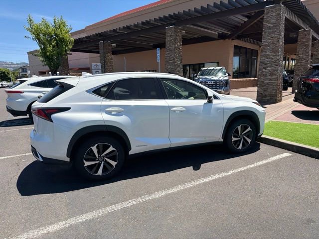 Used 2020 Lexus NX 300h AWD w/ Premium Package image 10