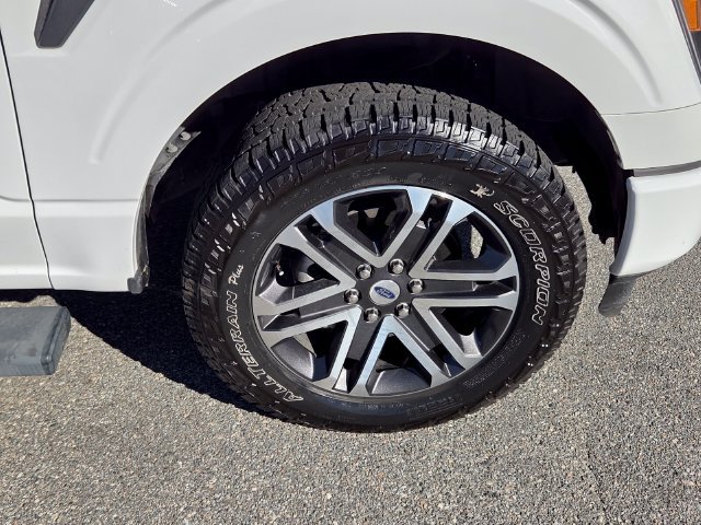 Used 2023 Ford F150 XL w/ STX Appearance Package AWD/4WD image 17