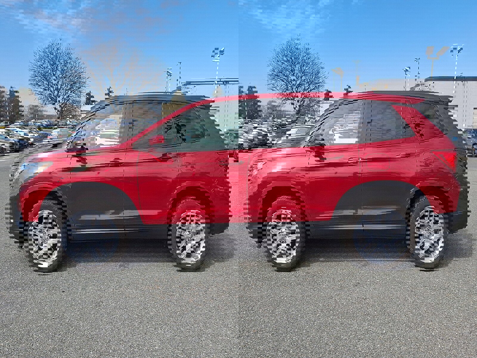 Used 2024 Honda Passport EX-L image 7