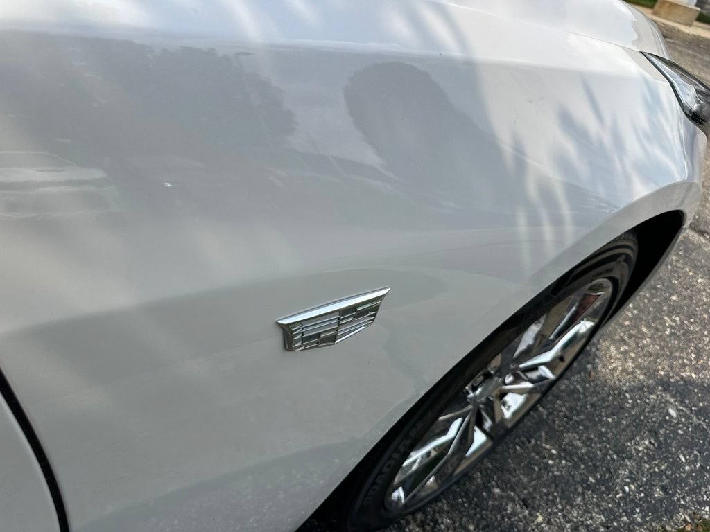 Used 2019 Cadillac CT6 Luxury w/ Driver Awareness Package AWD/4WD image 29