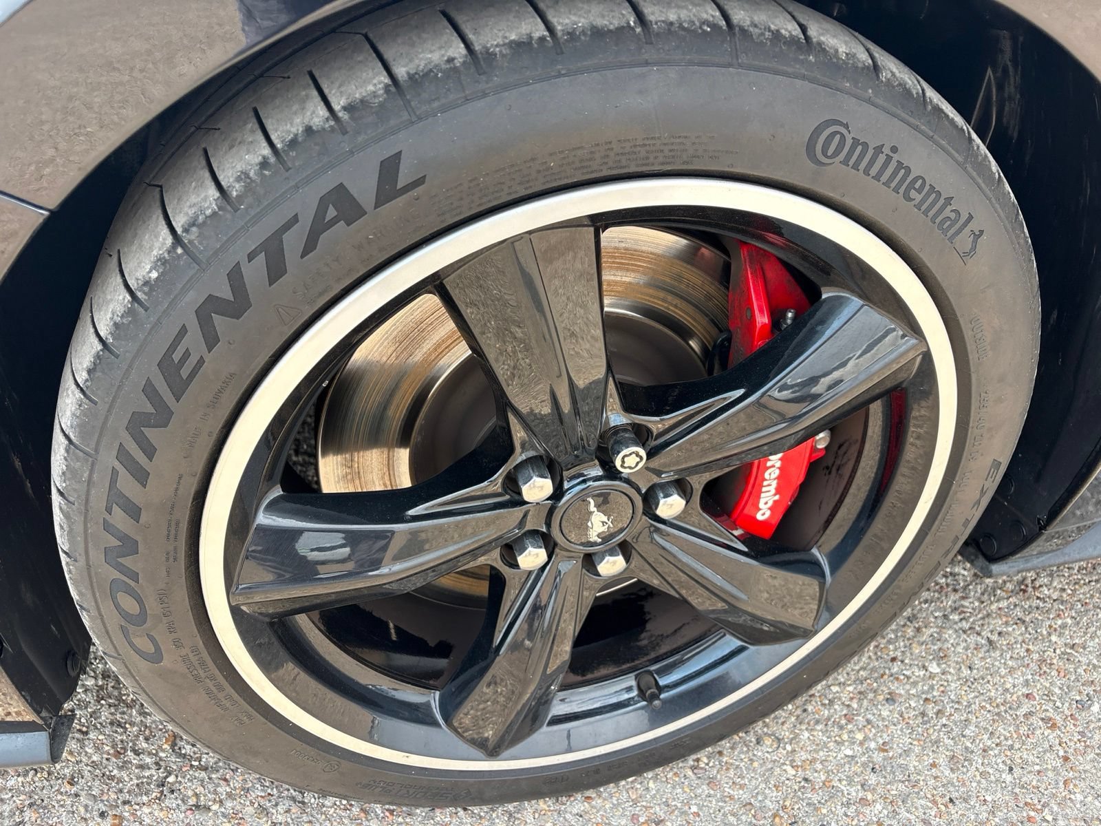 Used 2019 Ford Mustang Bullitt w/ Bullitt Electronics Package RWD image 32