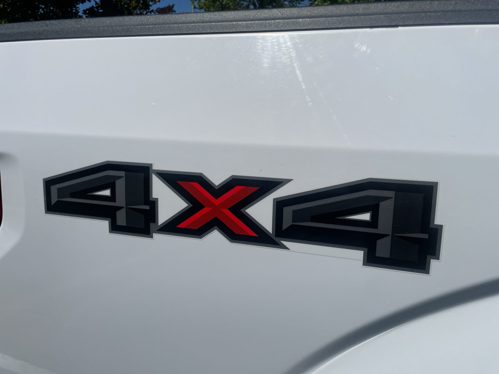 Used 2019 Ford F150 XLT w/ Equipment Group 301A Mid AWD/4WD image 13