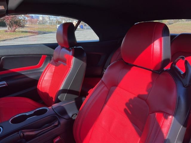 Certified 2019 Ford Mustang Premium w/ Equipment Group 201A image 29