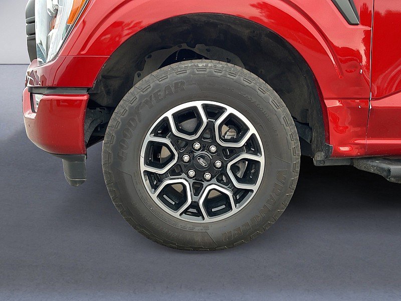 Used 2023 Ford F150 XLT w/ Equipment Group 302A High image 9