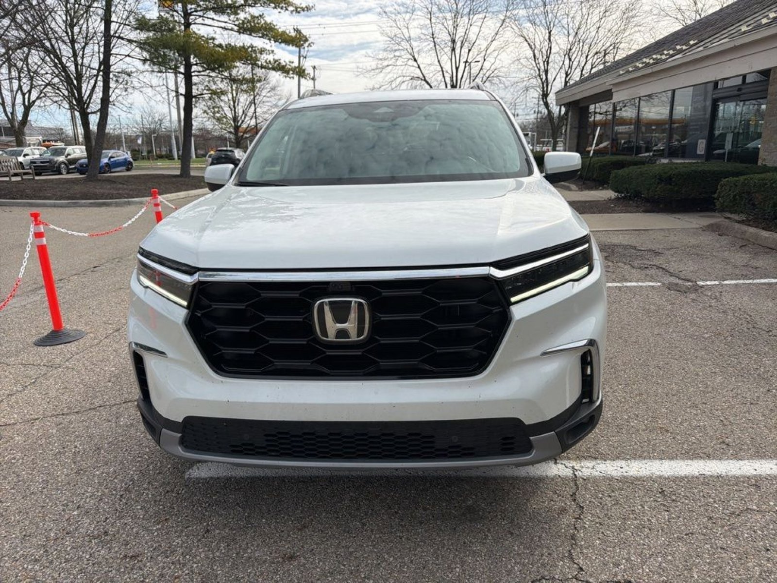 Used 2024 Honda Pilot Elite image 4