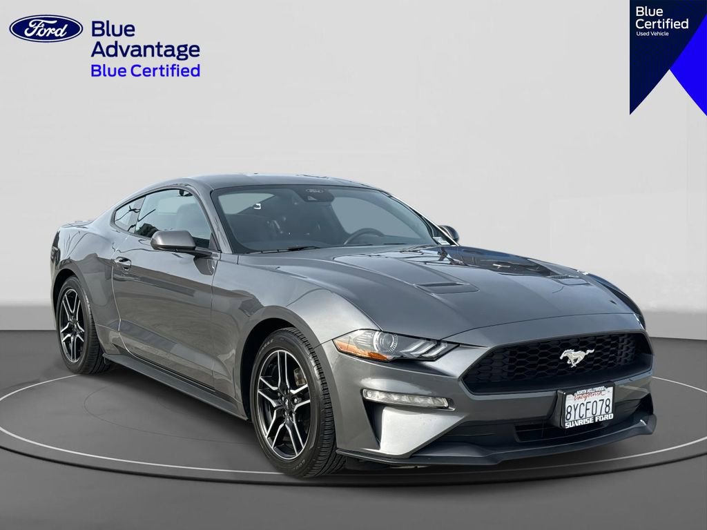 Used 2021 Ford Mustang EcoBoost w/ Equipment Group 101A image 1