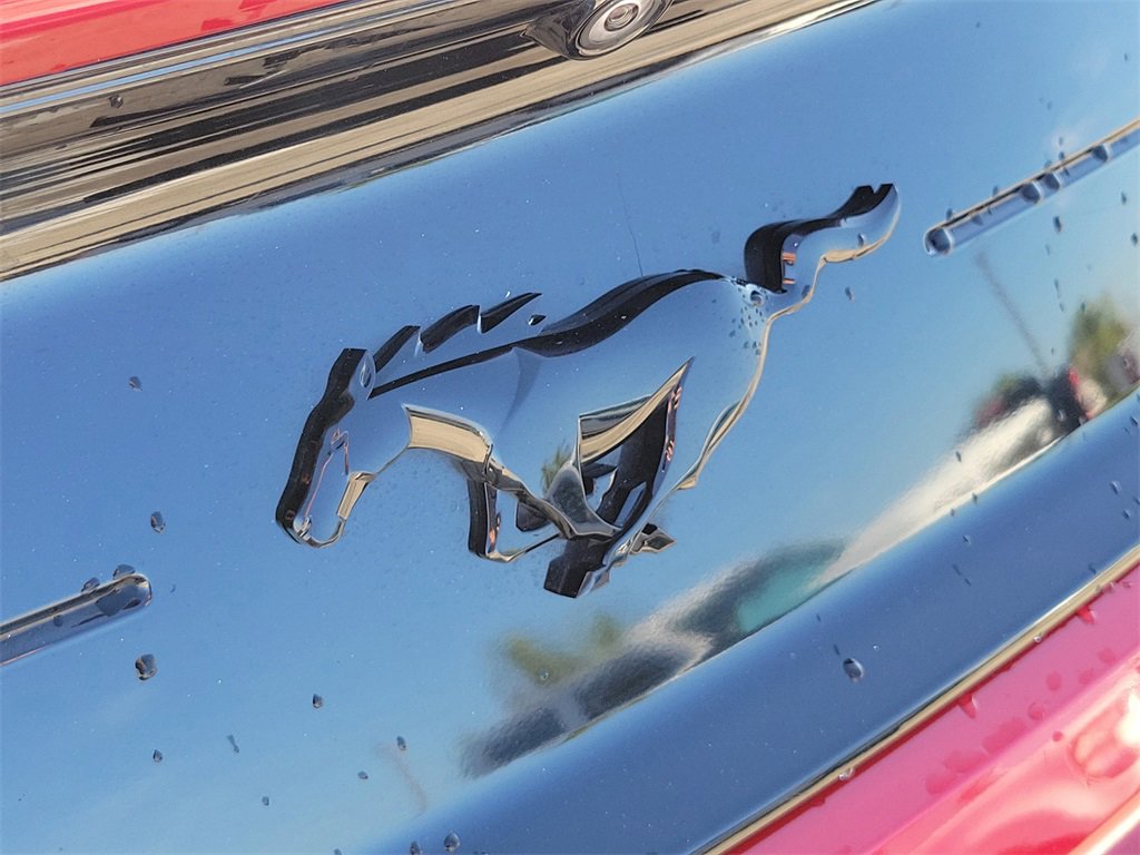 Used 2020 Ford Mustang Premium w/ Equipment Group 201A image 8