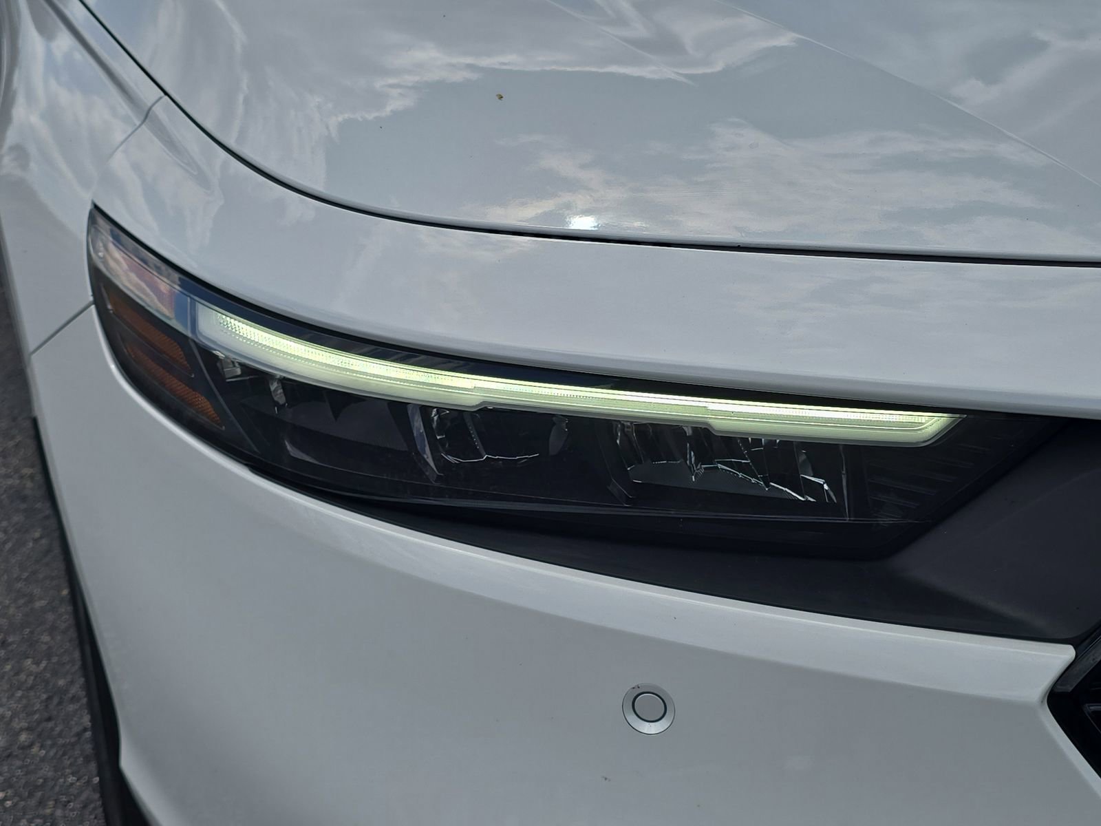 Certified 2023 Honda Accord EX-L image 7