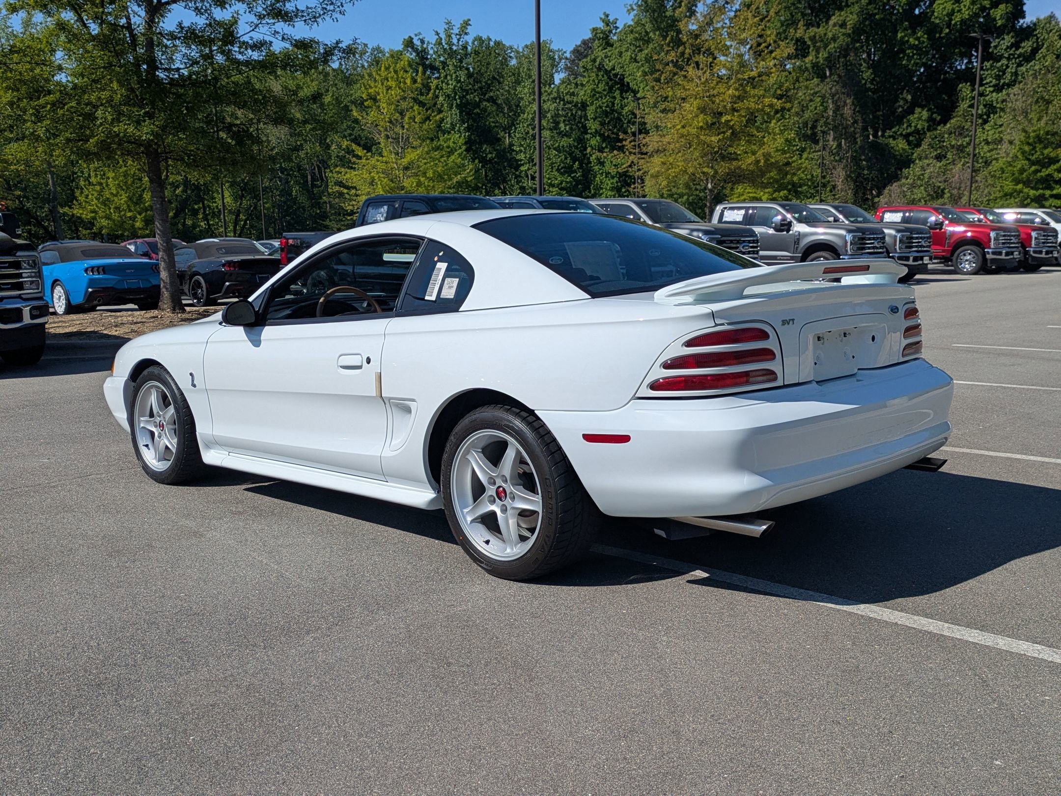 Used 1995 Ford Mustang Cobra R image 6