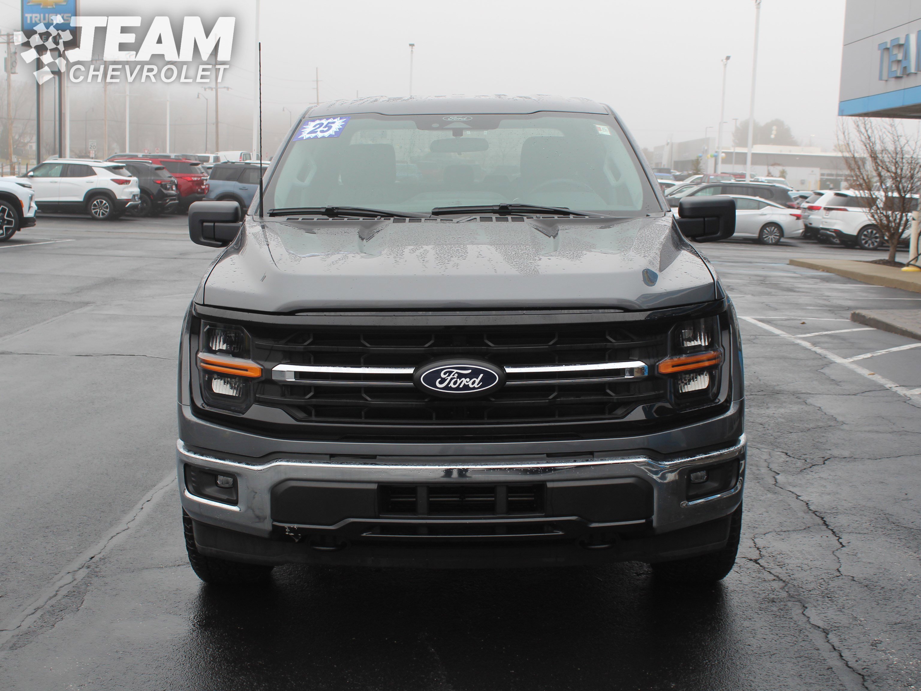 Used 2025 Ford F150 XLT w/ Equipment Group 301A Standard image 9