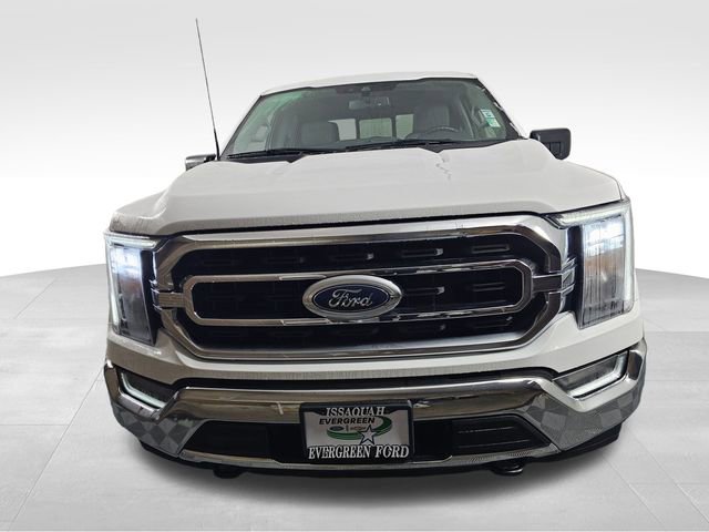 Certified 2023 Ford F150 XLT w/ Equipment Group 302A High image 2