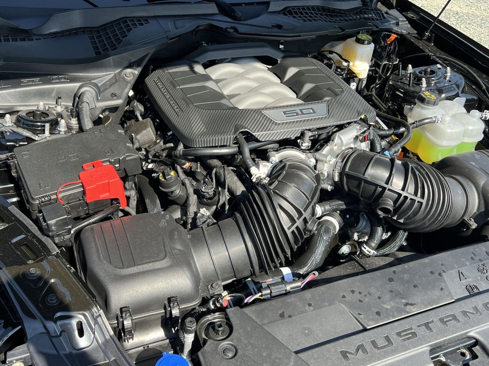 New 2026 Ford Mustang GT RWD image 25