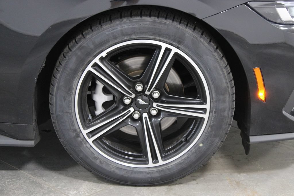 Used 2024 Ford Mustang Premium RWD image 13