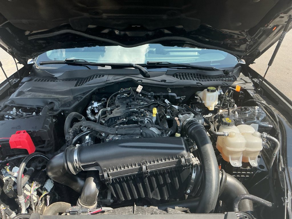 Certified 2024 Ford Mustang Coupe RWD image 25
