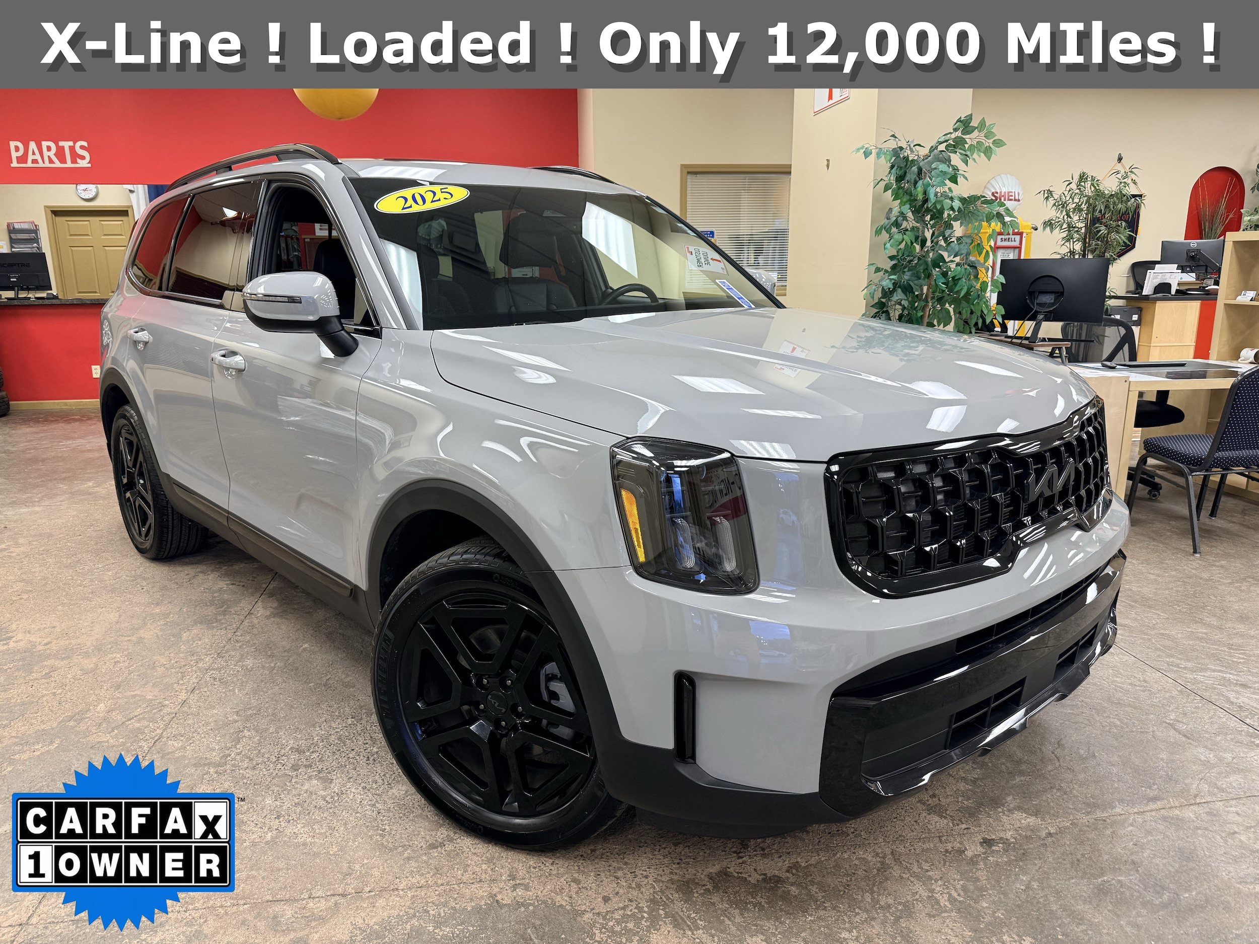 Used 2025 Kia Telluride EX X-Line