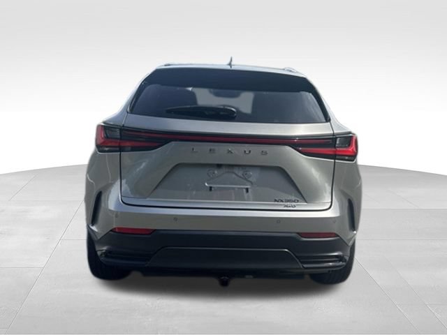 Used 2024 Lexus NX 350 AWD image 4