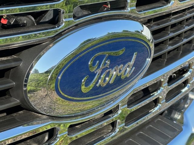 New 2026 Ford F550 4x4 Regular Cab Super Duty w/ XL Chrome Package image 23