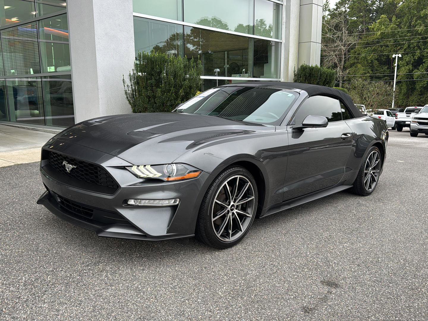 Used 2019 Ford Mustang Premium w/ Equipment Group 201A