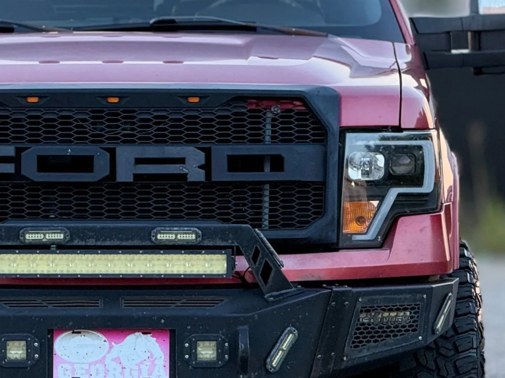 Used 2010 Ford F150 Platinum RWD image 12