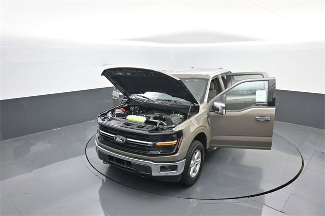 New 2025 Ford F150 XLT w/ Equipment Group 302A MID image 37