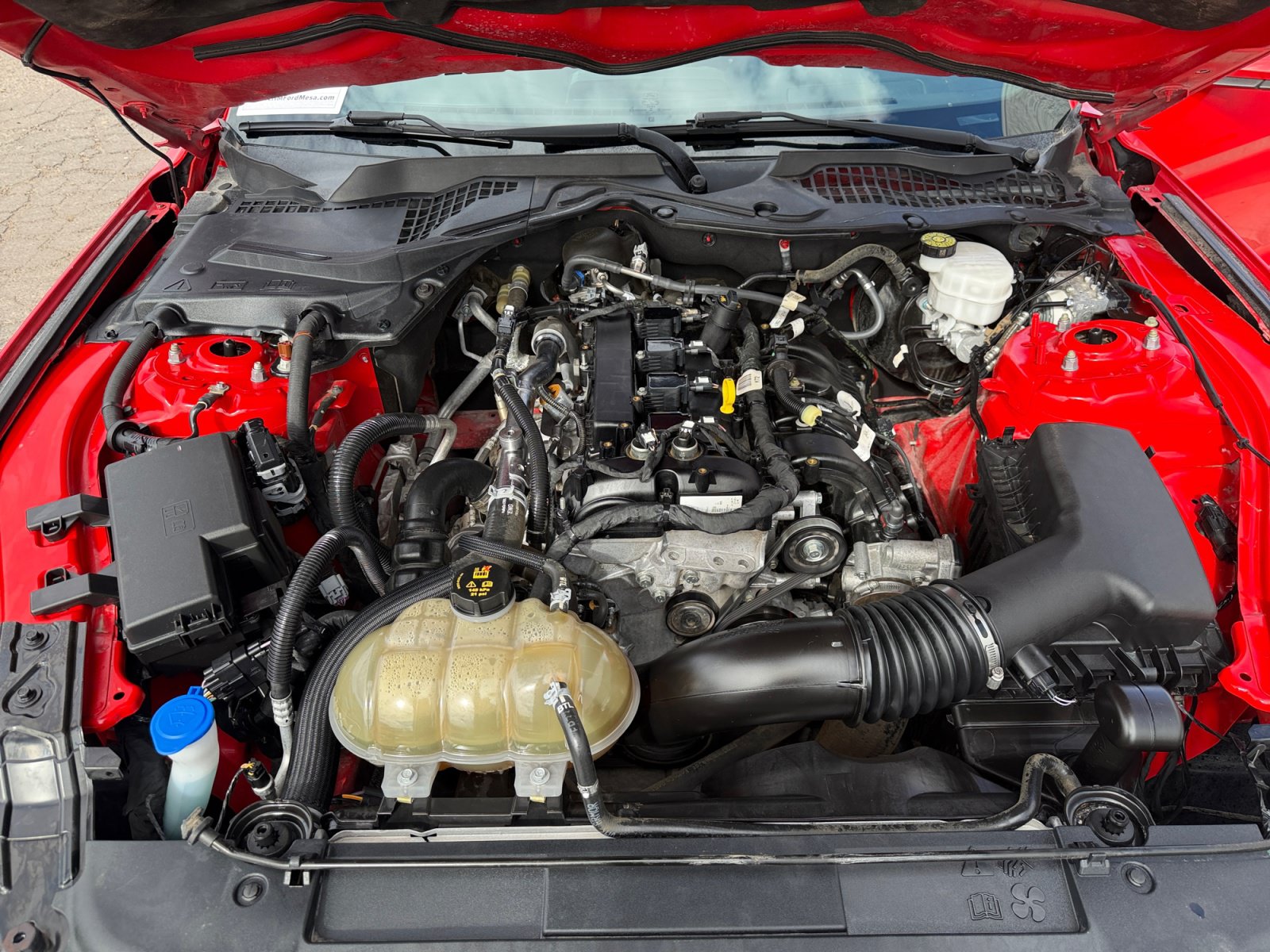 Used 2021 Ford Mustang Coupe RWD image 32