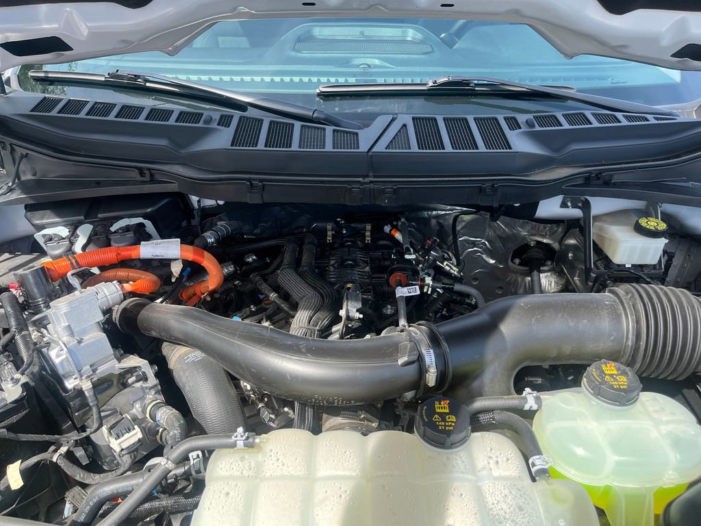 Used 2024 Ford F150 XLT w/ Equipment Group 302A MID AWD/4WD image 21