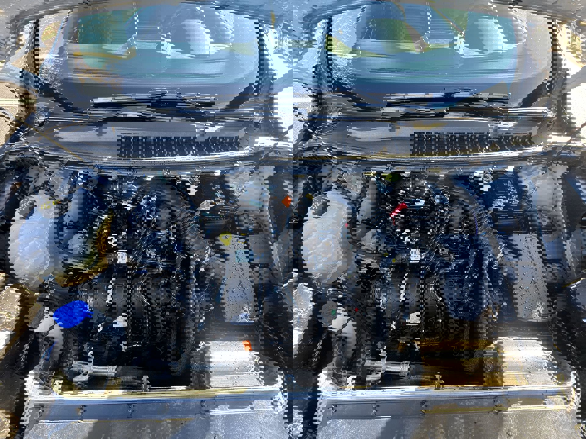 Used 2024 Ford Edge SEL image 25