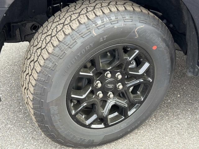 New 2026 Ford F150 XLT w/ XLT Black Appearance Package image 15