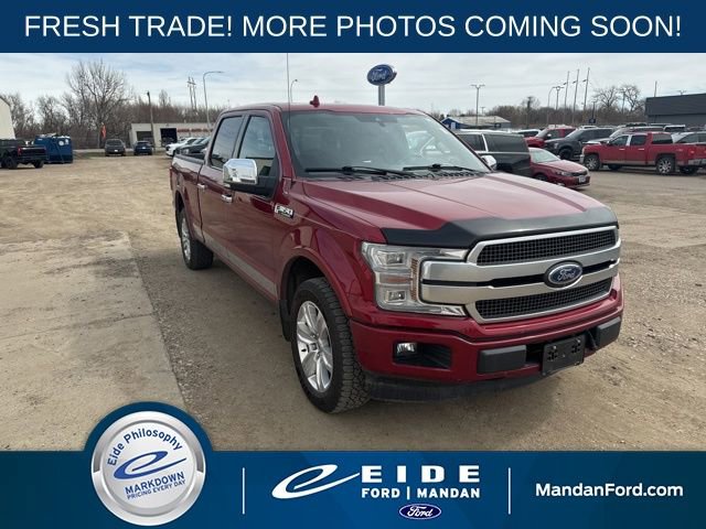 Used 2019 Ford F150 Platinum w/ Equipment Group 701A Luxury image 1