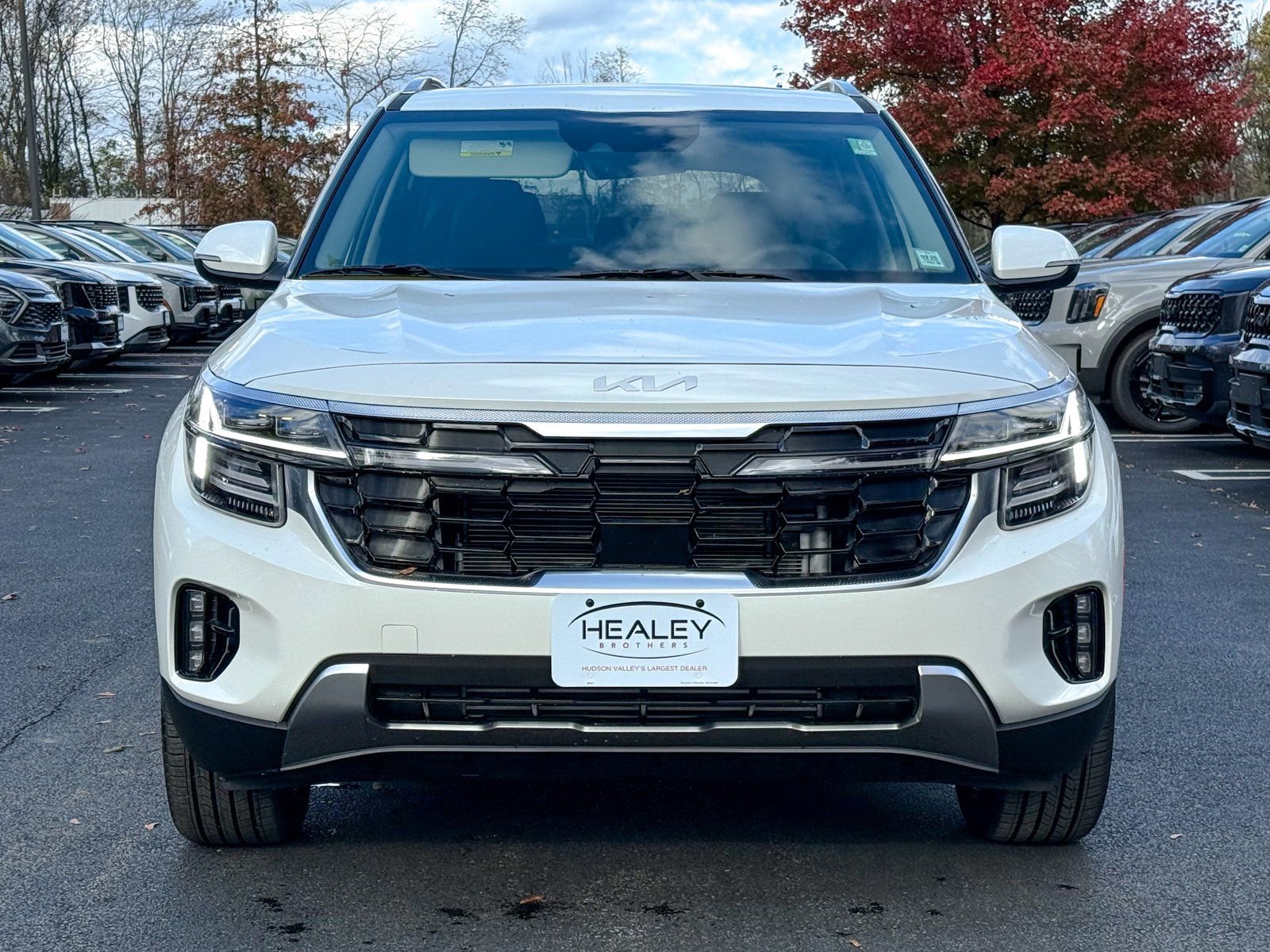 New 2026 Kia Seltos SX w/ SX Sunroof Package image 2