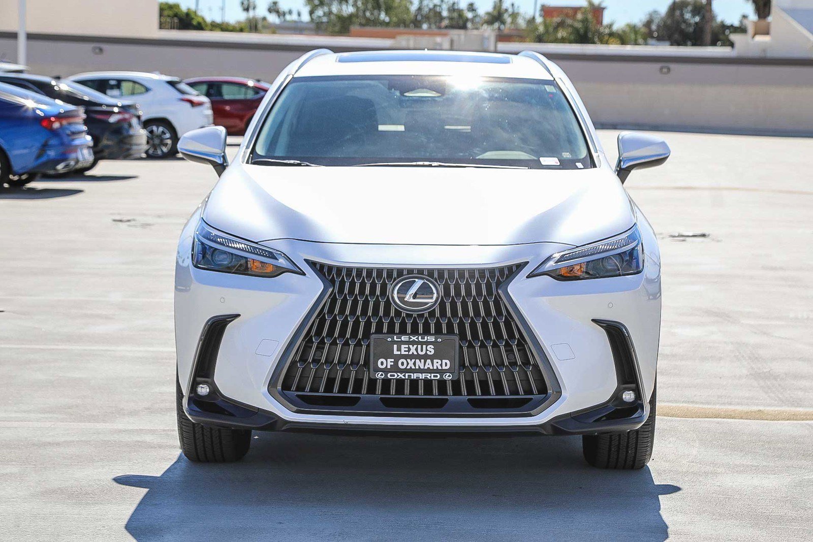 Used 2025 Lexus NX 250 FWD image 2