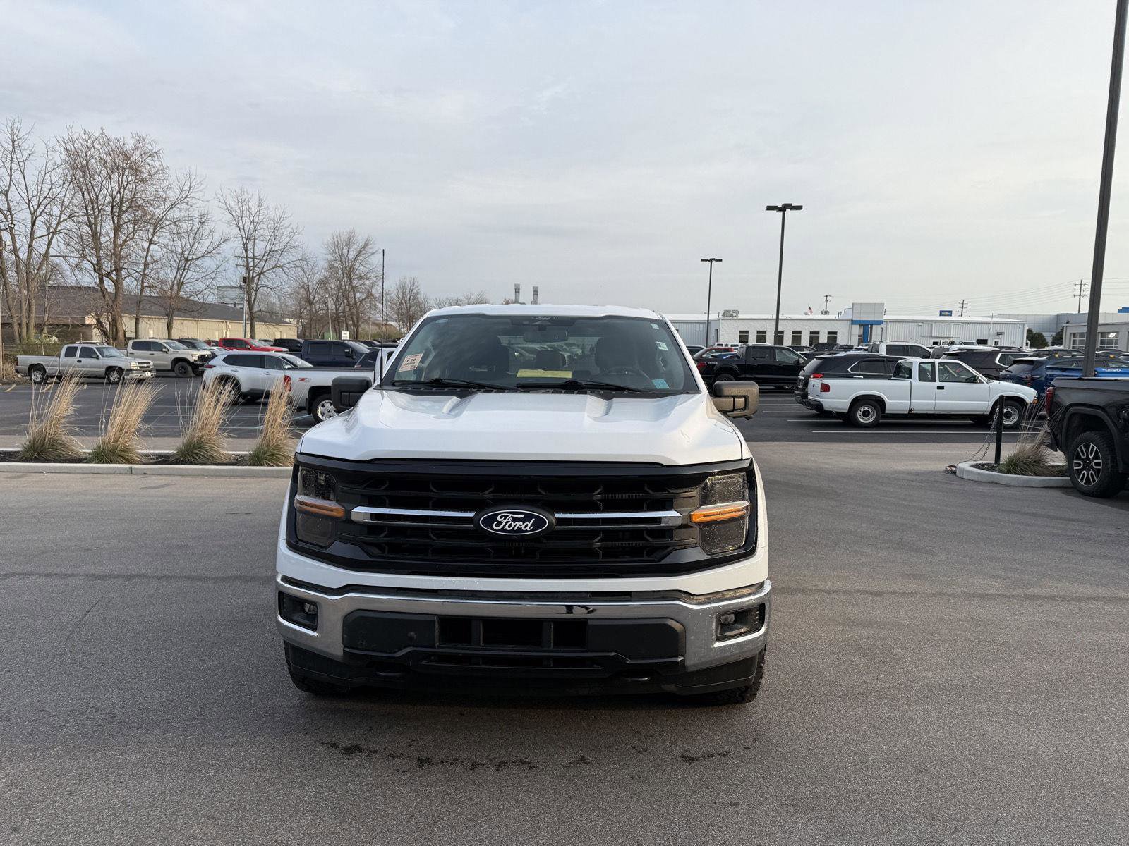 Used 2024 Ford F150 XLT w/ FX4 Off-Road Package image 8