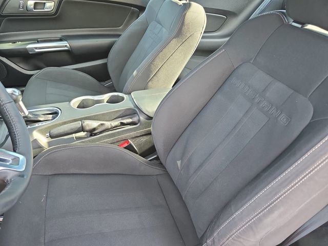 Used 2019 Ford Mustang EcoBoost image 14