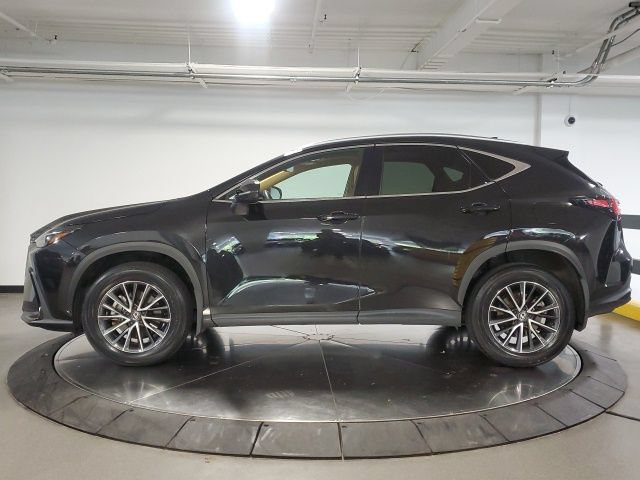 Used 2024 Lexus NX 350 AWD w/ Cold Area Package image 6