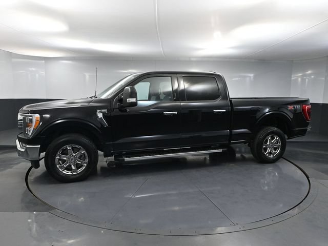 Used 2023 Ford F150 XLT w/ Equipment Group 302A High AWD/4WD image 8