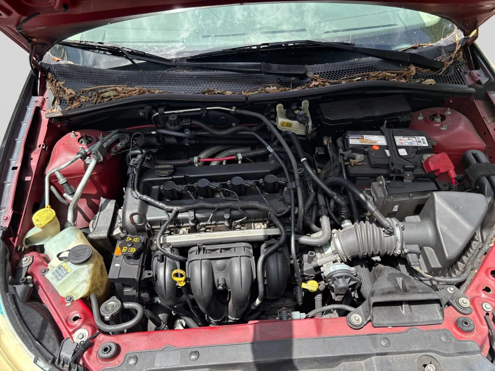 Used 2009 Ford Focus SEL FWD image 21